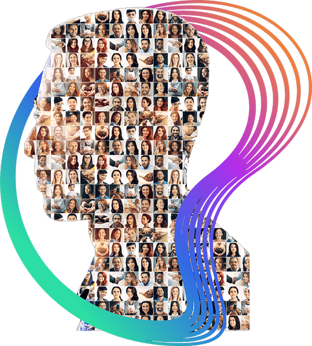 Audience intelligence dashboard